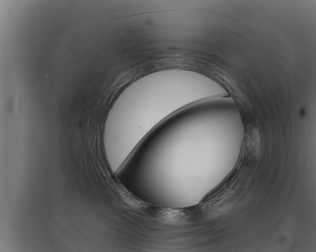 X0000097670333200802290952