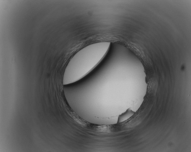X0000097670335200802290952
