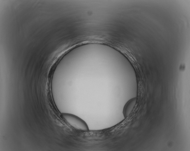 X0000097670338200802290951
