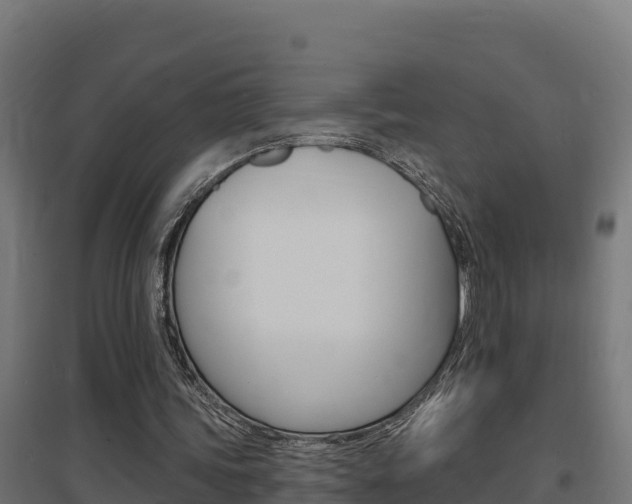 X0000097670339200802290951