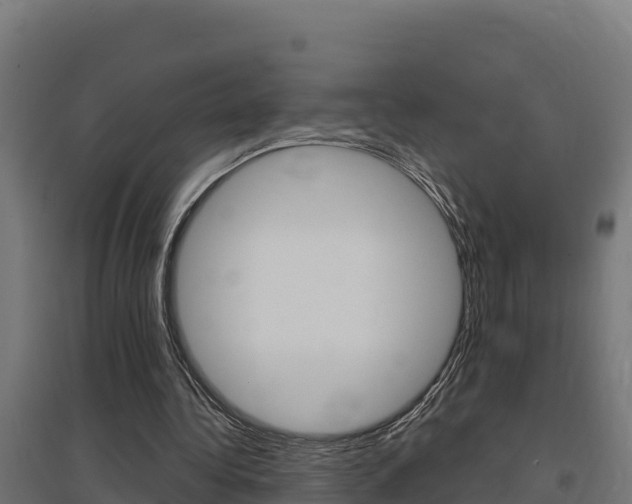 X0000097670340200802290951