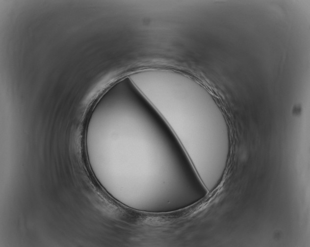 X0000097670341200802290951