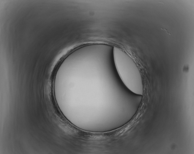 X0000097670342200802290951