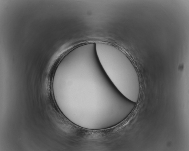 X0000097670343200802290951