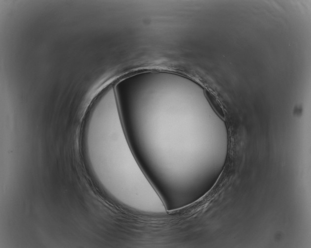 X0000097670344200802290951