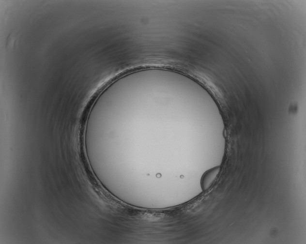 X0000097670346200802290951