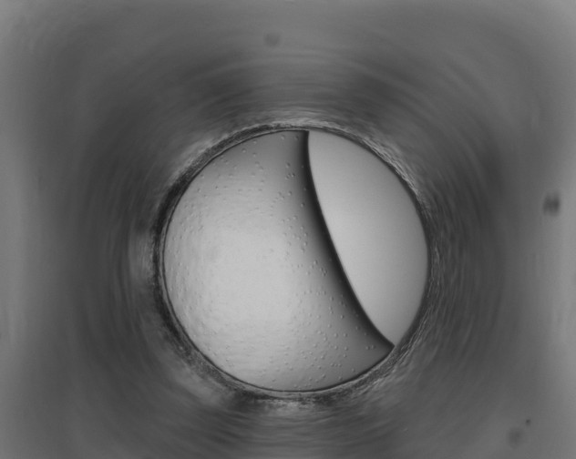 X0000097670347200802290951