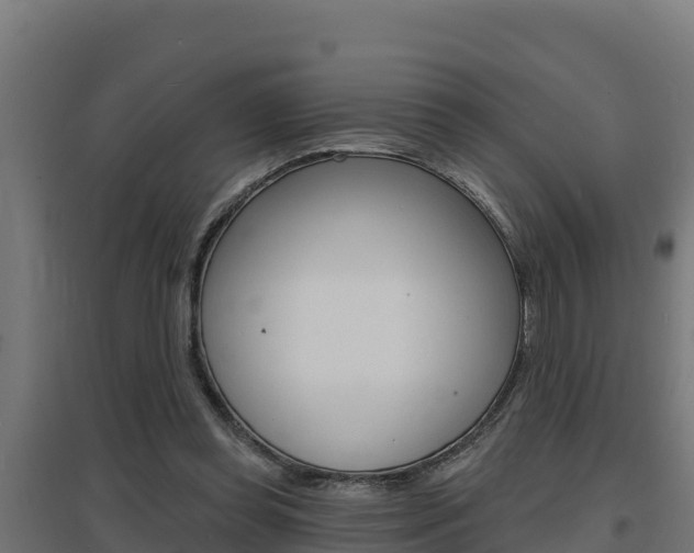 X0000097670349200802290951
