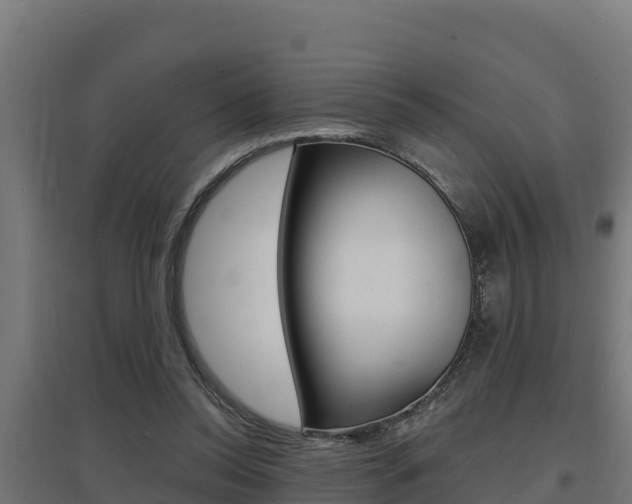 X0000097670350200802290951
