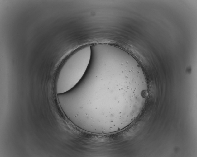 X0000097670351200802290951