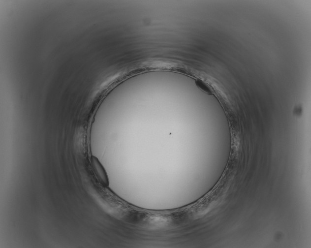X0000097670352200802290951