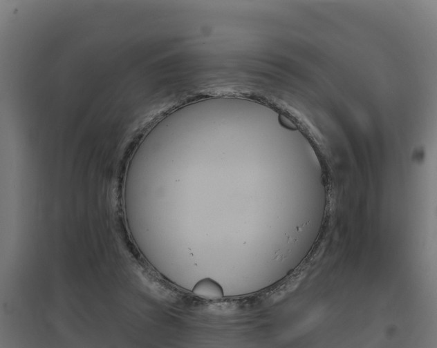 X0000097670353200802290951