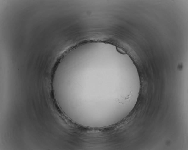 X0000097670354200802290951