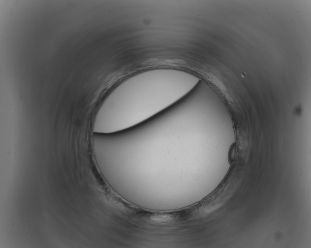 X0000097670357200802290951