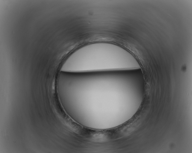 X0000097670358200802290951