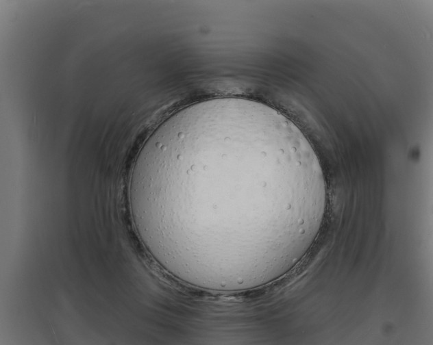 X0000097670359200802290951
