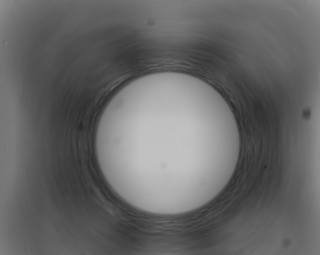 X0000097670360200802290951