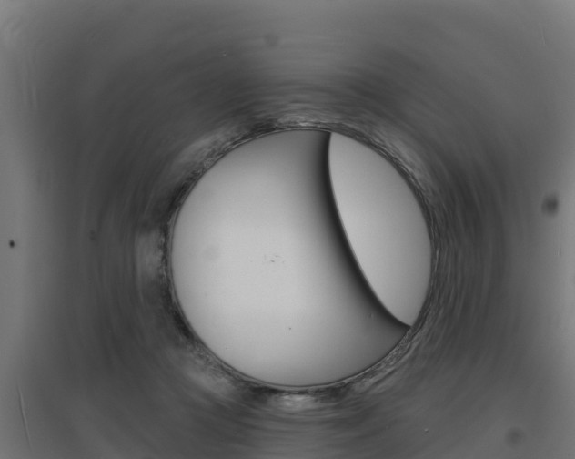 X0000097670361200802290951