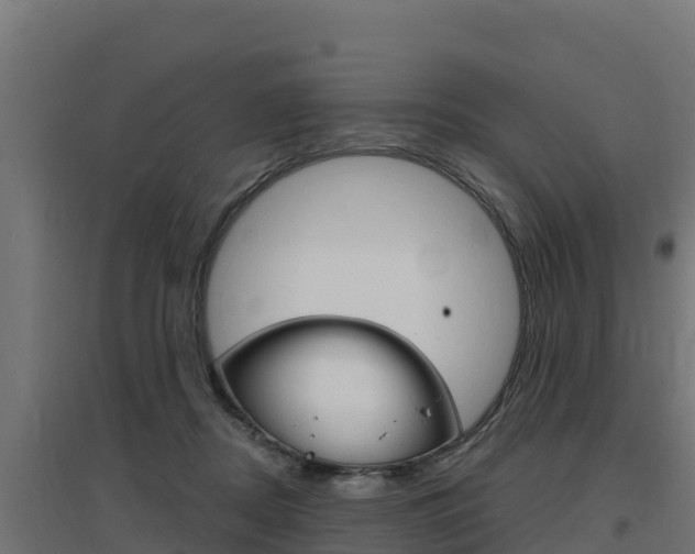 X0000097670362200802290951