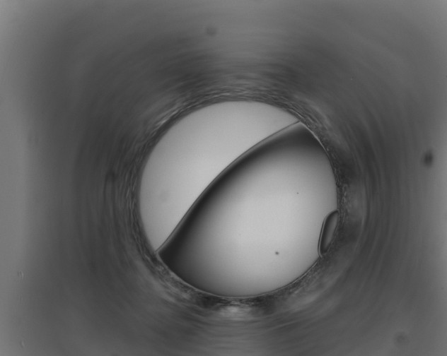 X0000097670364200802290951
