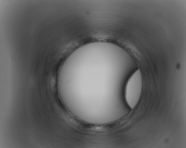 X0000097670365200802290951