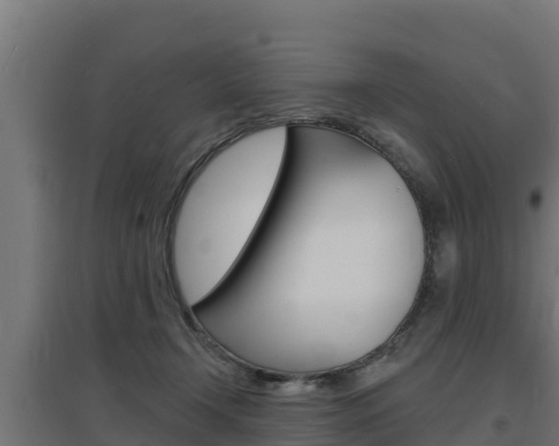 X0000097670366200802290951