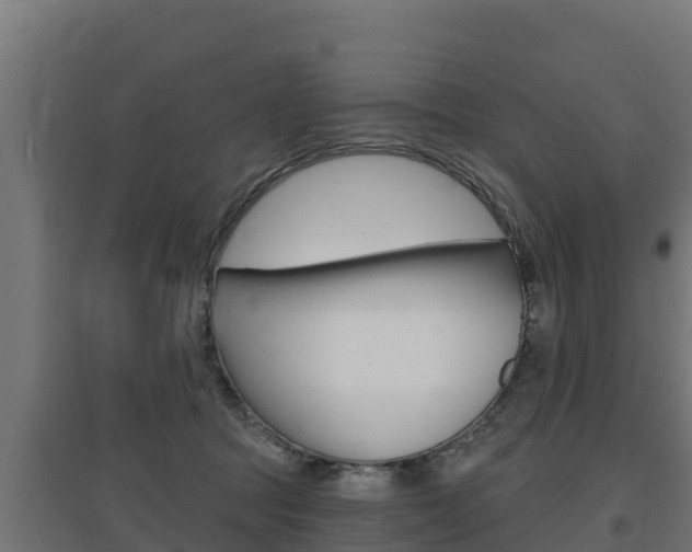 X0000097670369200802290951