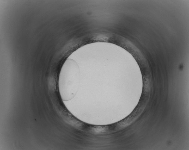 X0000097670370200802290951