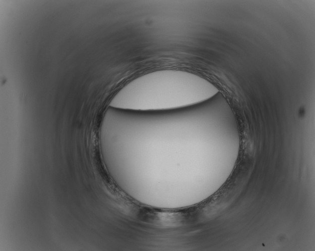 X0000097670371200802290951