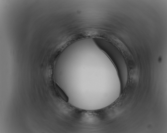 X0000097670372200802290951