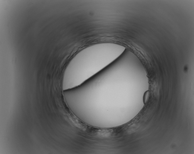 X0000097670373200802290951