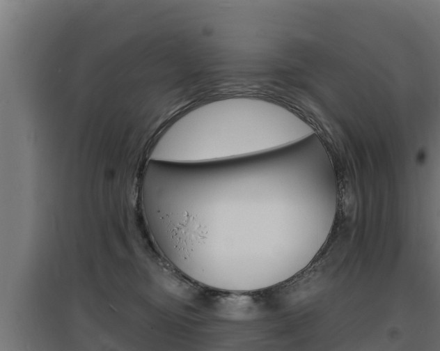 X0000097670374200802290951