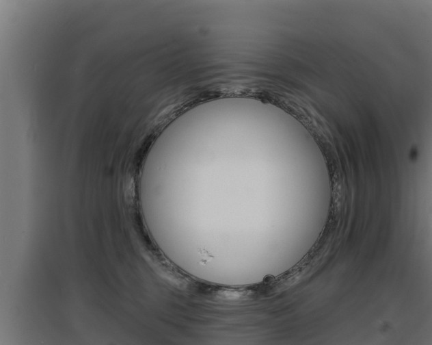 X0000097670375200802290951