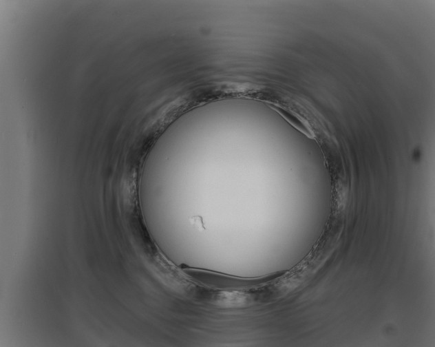 X0000097670376200802290951