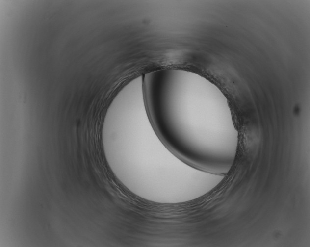 X0000097670380200802290951