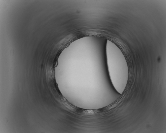 X0000097670381200802290951