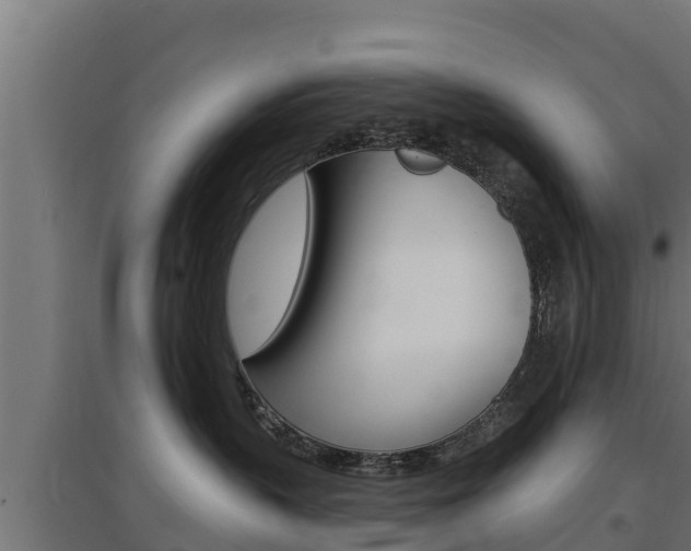 X0000097670383200802290951