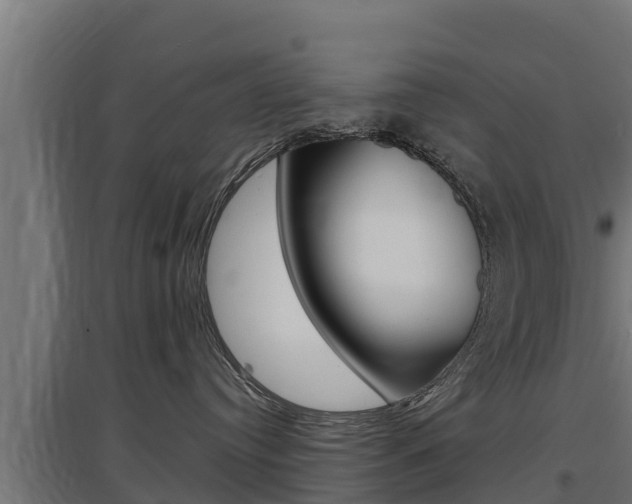 X0000097670384200802290951