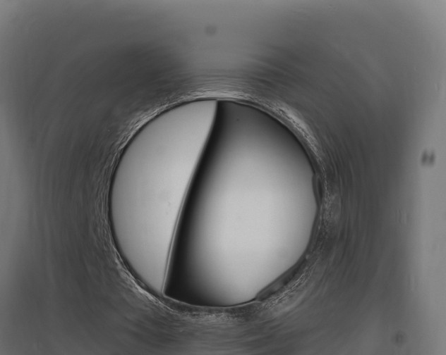 X0000097670385200802290951
