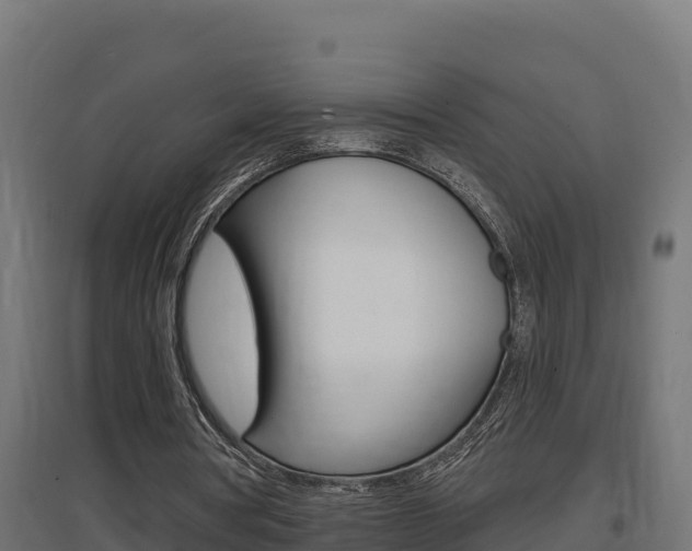 X0000097670386200802290951