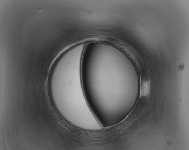 X0000097670387200802290951