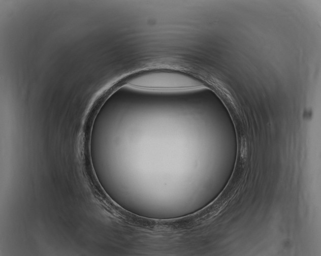 X0000097670388200802290951