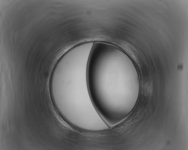 X0000097670389200802290951