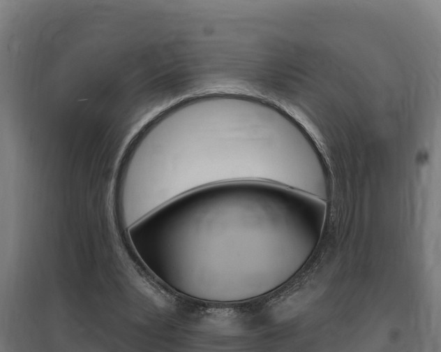X0000097670391200802290951