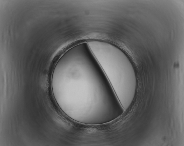 X0000097670392200802290951