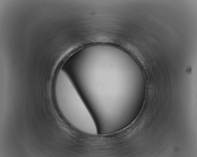 X0000097670395200802290951