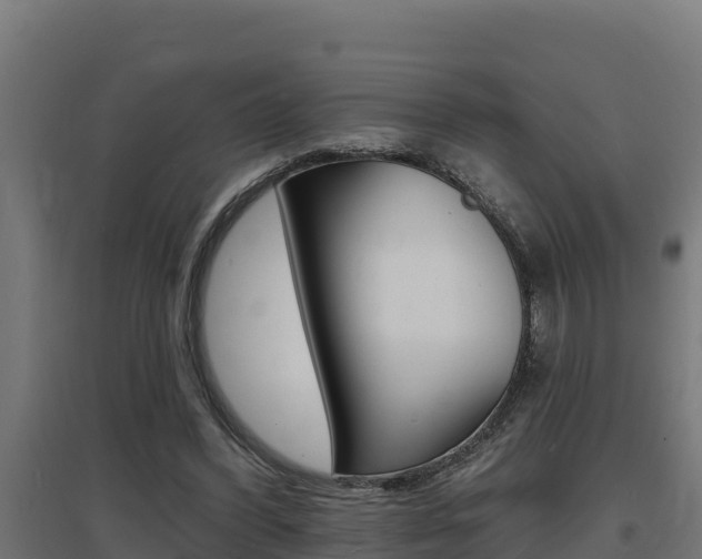 X0000097670396200802290951