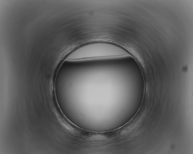 X0000097670397200802290951