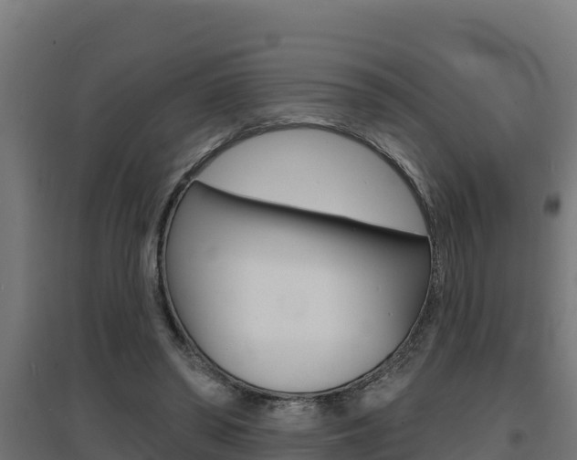 X0000097670398200802290951