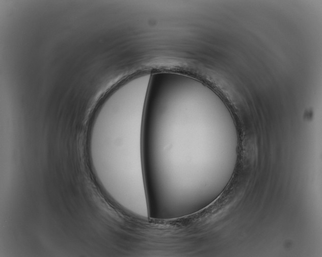 X0000097670399200802290951
